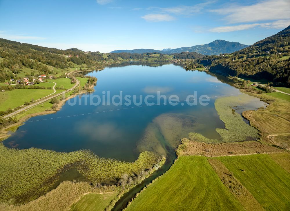 Luftaufnahme Immenstadt im Allgäu - Uferbereiche des Sees Großer Alpsee im Tal der Berglandschaft in Immenstadt im Allgäu im Bundesland Bayern, Deutschland