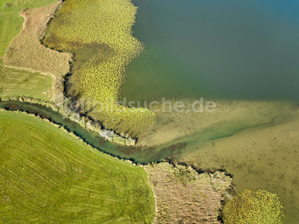 Immenstadt im Allgäu von oben - Uferbereiche des Sees Großer Alpsee im Tal der Berglandschaft in Immenstadt im Allgäu im Bundesland Bayern, Deutschland