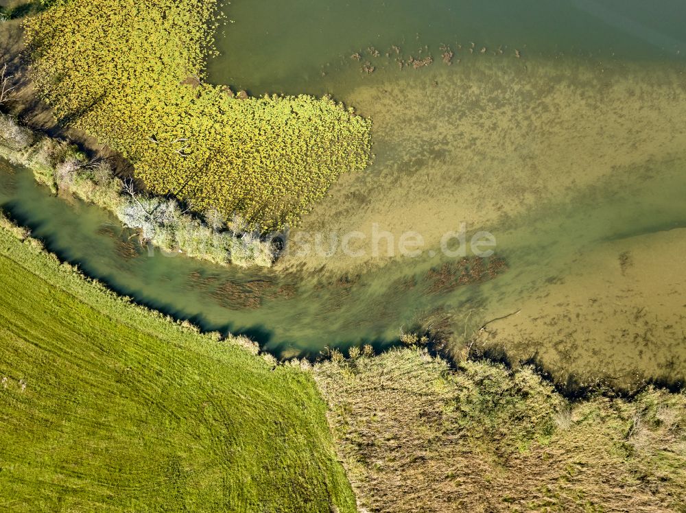 Immenstadt im Allgäu aus der Vogelperspektive: Uferbereiche des Sees Großer Alpsee im Tal der Berglandschaft in Immenstadt im Allgäu im Bundesland Bayern, Deutschland