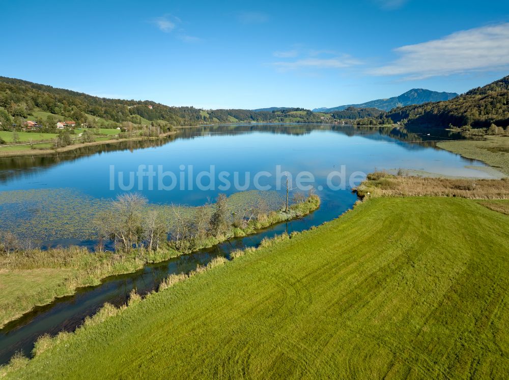 Luftbild Immenstadt im Allgäu - Uferbereiche des Sees Großer Alpsee im Tal der Berglandschaft in Immenstadt im Allgäu im Bundesland Bayern, Deutschland