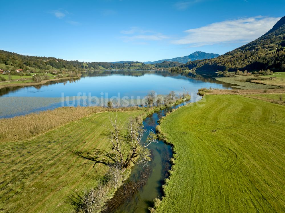 Immenstadt im Allgäu von oben - Uferbereiche des Sees Großer Alpsee im Tal der Berglandschaft in Immenstadt im Allgäu im Bundesland Bayern, Deutschland