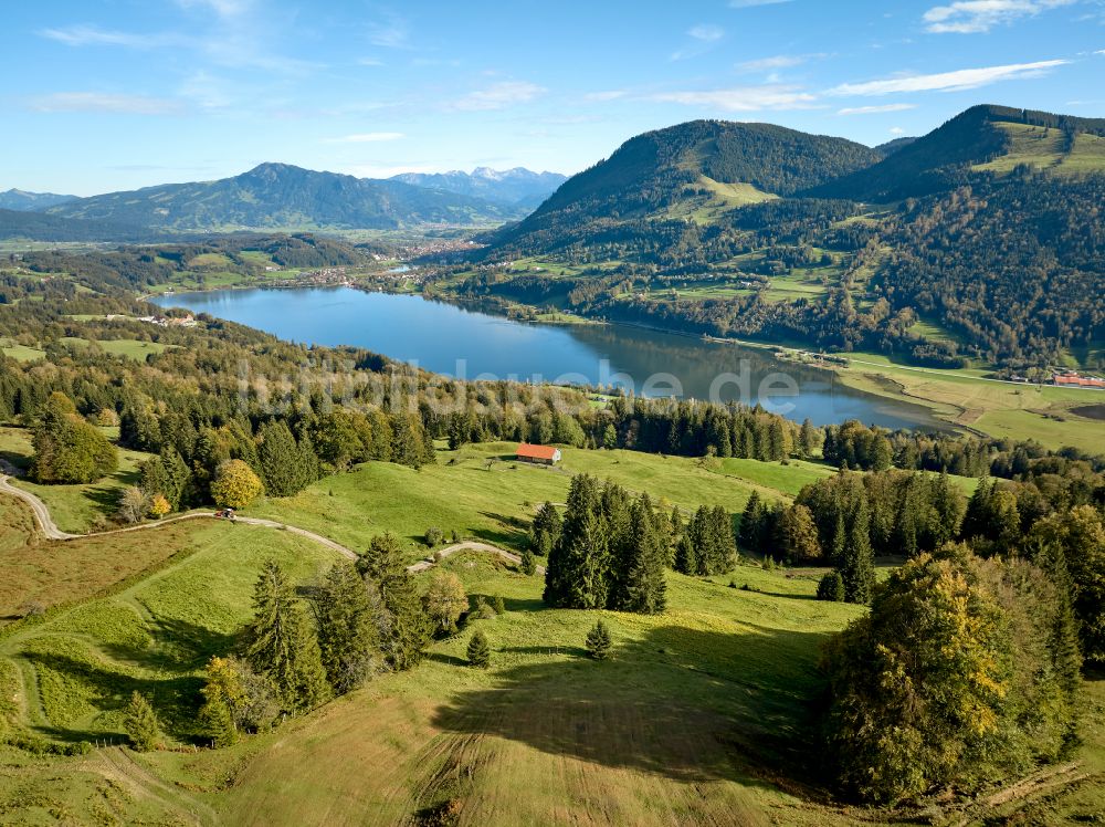 Luftbild Immenstadt im Allgäu - Uferbereiche des Sees Großer Alpsee im Tal der Berglandschaft in Immenstadt im Allgäu im Bundesland Bayern, Deutschland