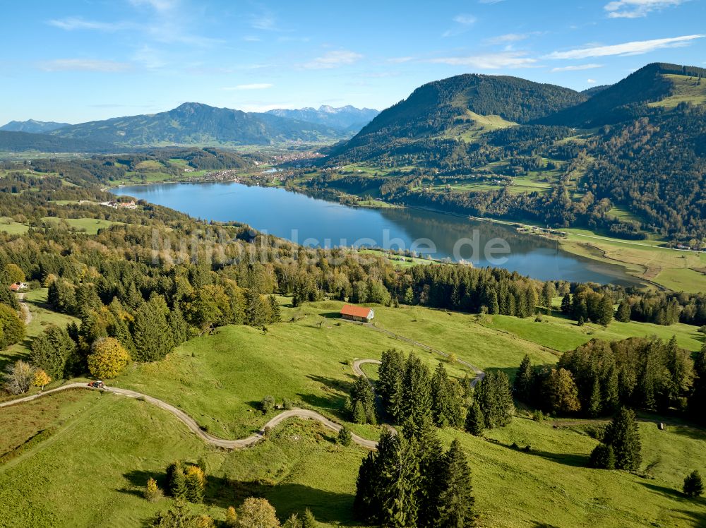 Luftaufnahme Immenstadt im Allgäu - Uferbereiche des Sees Großer Alpsee im Tal der Berglandschaft in Immenstadt im Allgäu im Bundesland Bayern, Deutschland