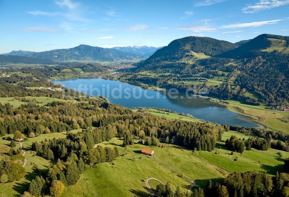 Immenstadt im Allgäu von oben - Uferbereiche des Sees Großer Alpsee im Tal der Berglandschaft in Immenstadt im Allgäu im Bundesland Bayern, Deutschland