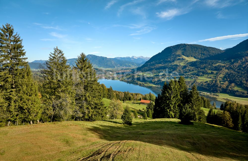 Luftbild Immenstadt im Allgäu - Uferbereiche des Sees Großer Alpsee im Tal der Berglandschaft in Immenstadt im Allgäu im Bundesland Bayern, Deutschland