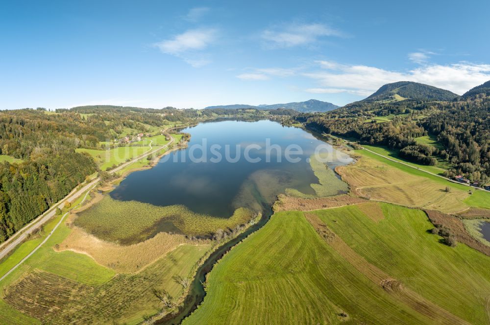 Luftbild Immenstadt im Allgäu - Uferbereiche des Sees Großer Alpsee im Tal der Berglandschaft in Immenstadt im Allgäu im Bundesland Bayern, Deutschland