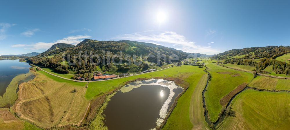 Immenstadt im Allgäu aus der Vogelperspektive: Uferbereiche des Sees Großer Alpsee im Tal der Berglandschaft in Immenstadt im Allgäu im Bundesland Bayern, Deutschland