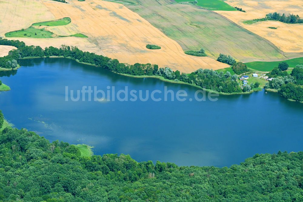 Luftaufnahme Briesen - Uferbereiche des Sees Großer Briesensee in Briesen im Bundesland Brandenburg, Deutschland