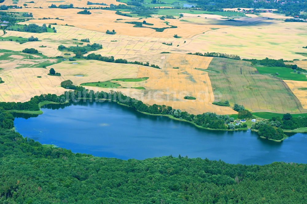 Briesen von oben - Uferbereiche des Sees Großer Briesensee in Briesen im Bundesland Brandenburg, Deutschland