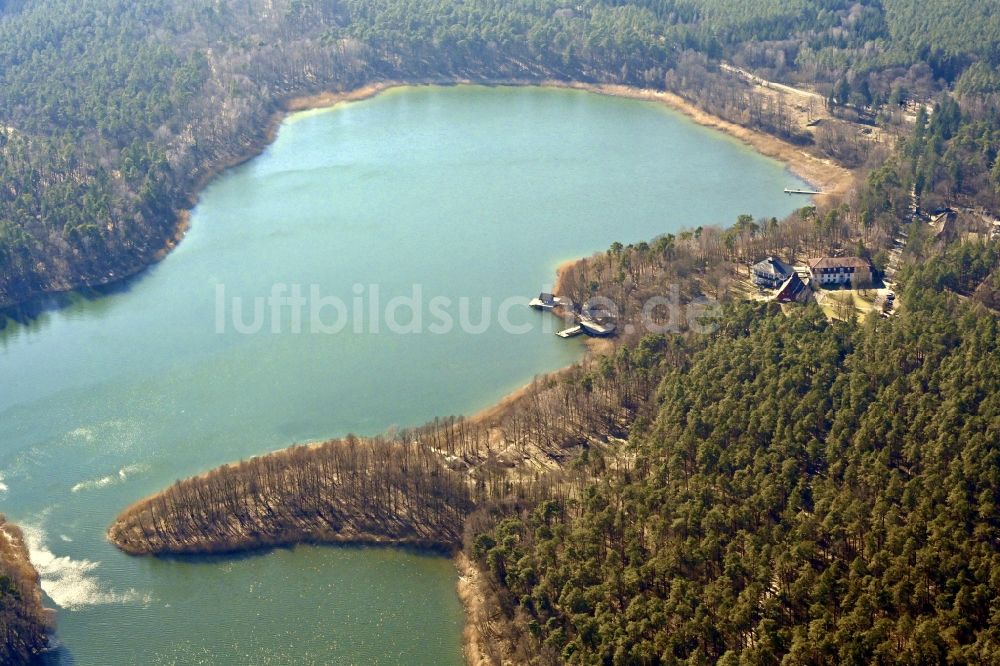 Luftaufnahme Templin - Uferbereiche des Sees Großer Döllnsee in einem Waldgebiet in Templin im Bundesland Brandenburg, Deutschland