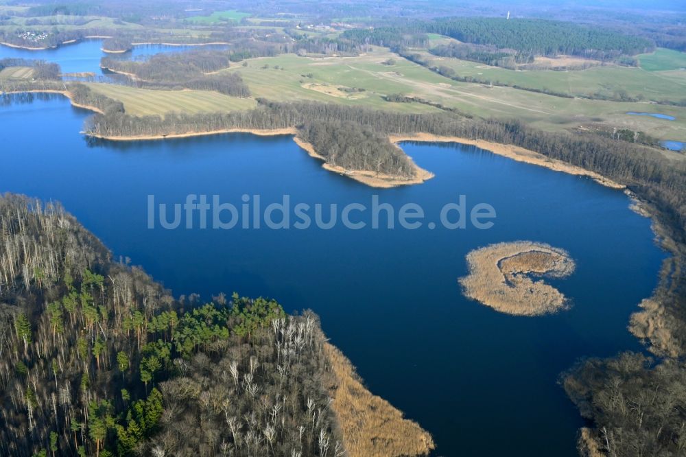 Luftaufnahme Hohenwalde - Uferbereiche des Sees Großer Krinertsee in einem Waldgebiet in Hohenwalde im Bundesland Brandenburg, Deutschland