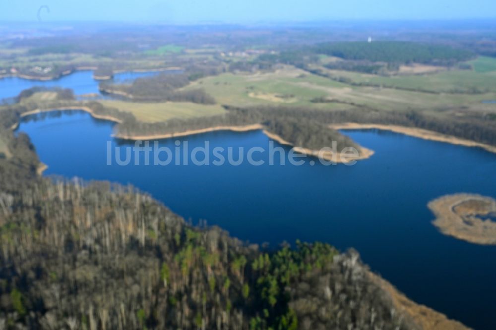 Hohenwalde aus der Vogelperspektive: Uferbereiche des Sees Großer Krinertsee in einem Waldgebiet in Hohenwalde im Bundesland Brandenburg, Deutschland