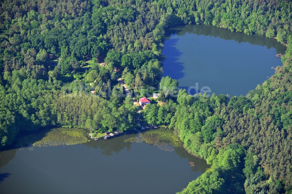 Luftbild Lienewitz - Uferbereiche des Sees Großer Lienewitzsee im Waldgebiet der Lienewitz-Caputher Seen- und Feuchtgebietskette in Lienewitz im Bundesland Brandenburg