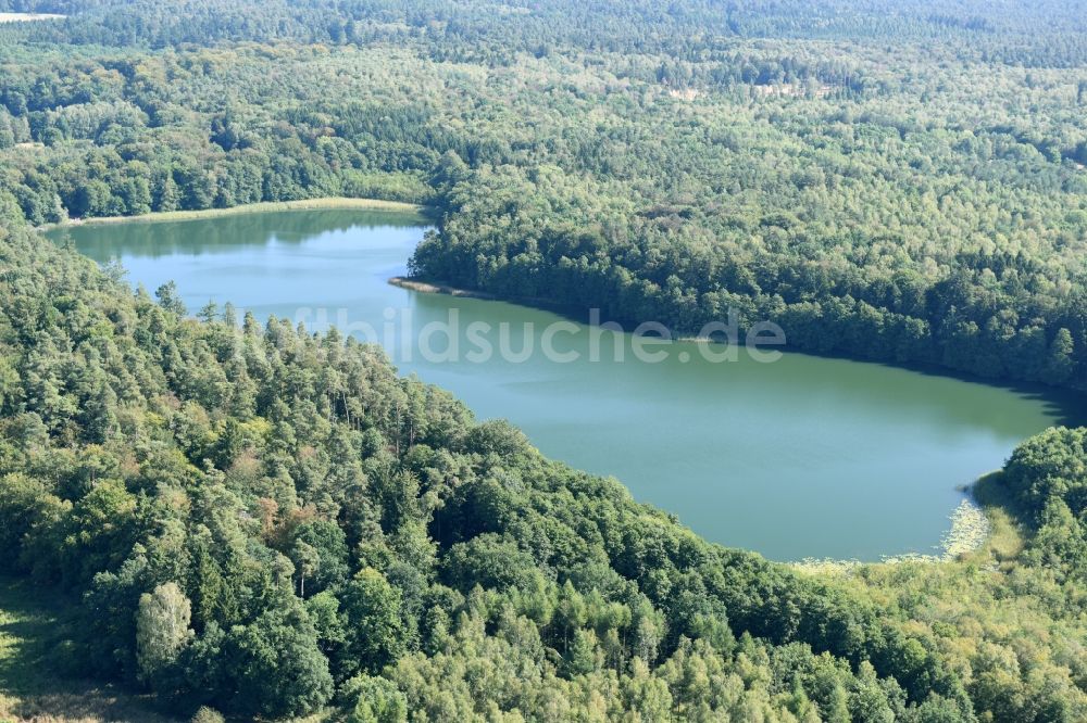 Luftaufnahme Nordwestuckermark - Uferbereiche des Sees Großer Petznicksee in Nordwestuckermark im Bundesland Brandenburg