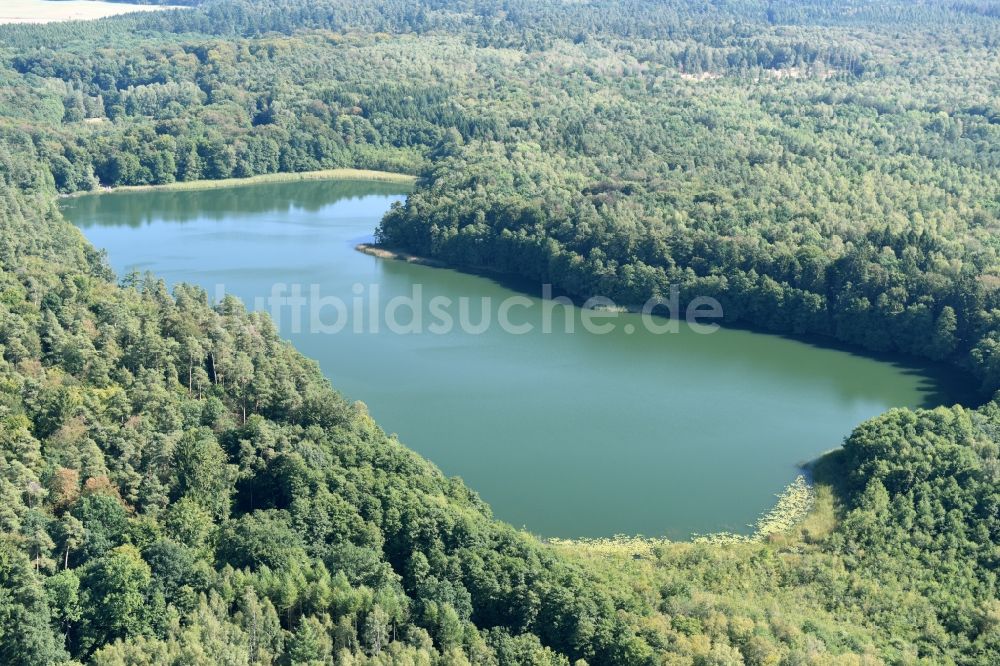 Nordwestuckermark von oben - Uferbereiche des Sees Großer Petznicksee in Nordwestuckermark im Bundesland Brandenburg