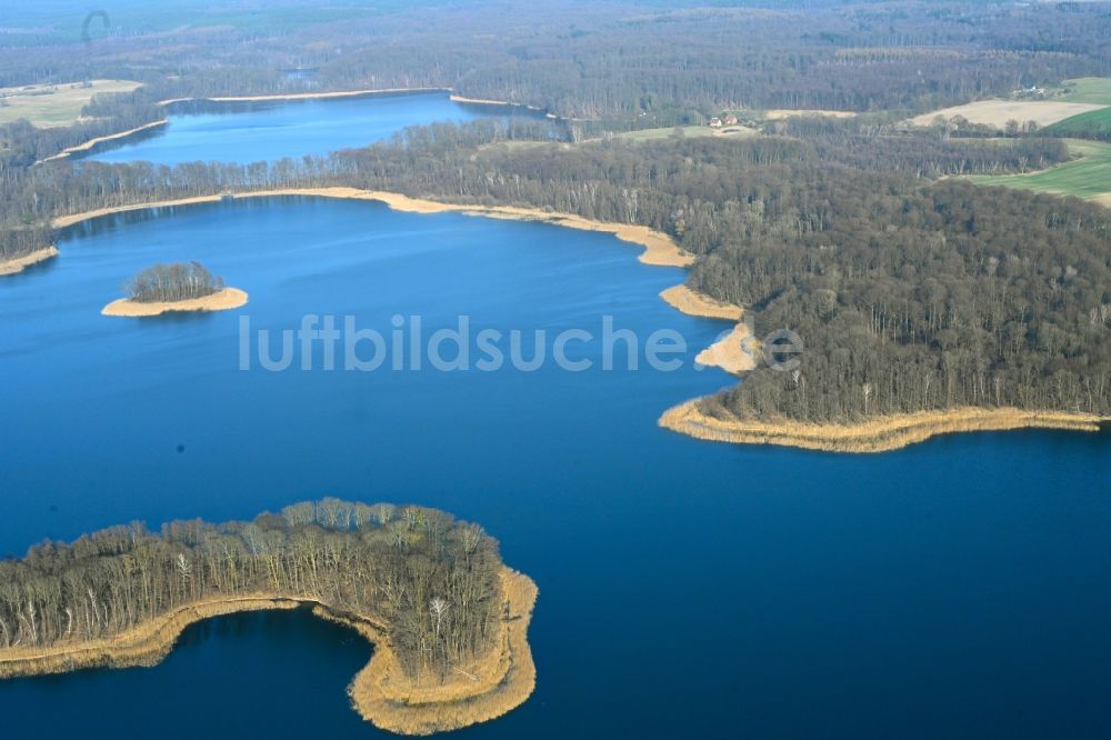 Friedrichswalde von oben - Uferbereiche des Sees Großer Präßnicksee in einem Waldgebiet in Friedrichswalde im Bundesland Brandenburg, Deutschland