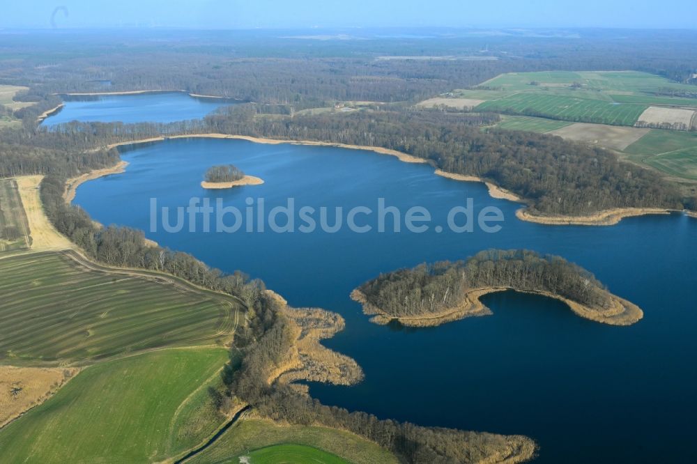 Luftbild Friedrichswalde - Uferbereiche des Sees Großer Präßnicksee in einem Waldgebiet in Friedrichswalde im Bundesland Brandenburg, Deutschland