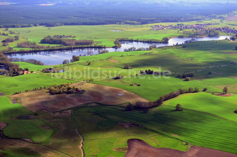 Friedrichswalde aus der Vogelperspektive: Uferbereiche des Sees Großer Präßnicksee in Friedrichswalde im Bundesland Brandenburg