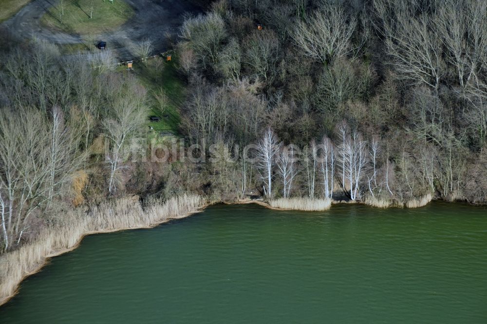 Luftbild Meuselwitz - Uferbereiche des Sees Hainbergsee in Meuselwitz im Bundesland Thüringen