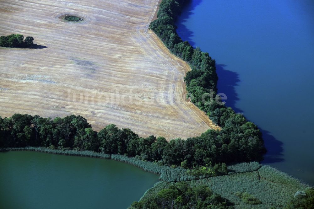 Luftaufnahme Neu Gaarz - Uferbereiche des Sees Hofsee - Tiefer See in Neu Gaarz im Bundesland Mecklenburg-Vorpommern