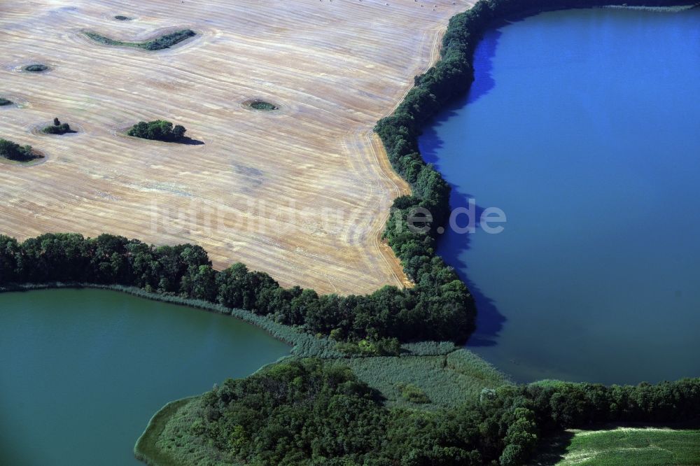Luftbild Neu Gaarz - Uferbereiche des Sees Hofsee - Tiefer See in Neu Gaarz im Bundesland Mecklenburg-Vorpommern