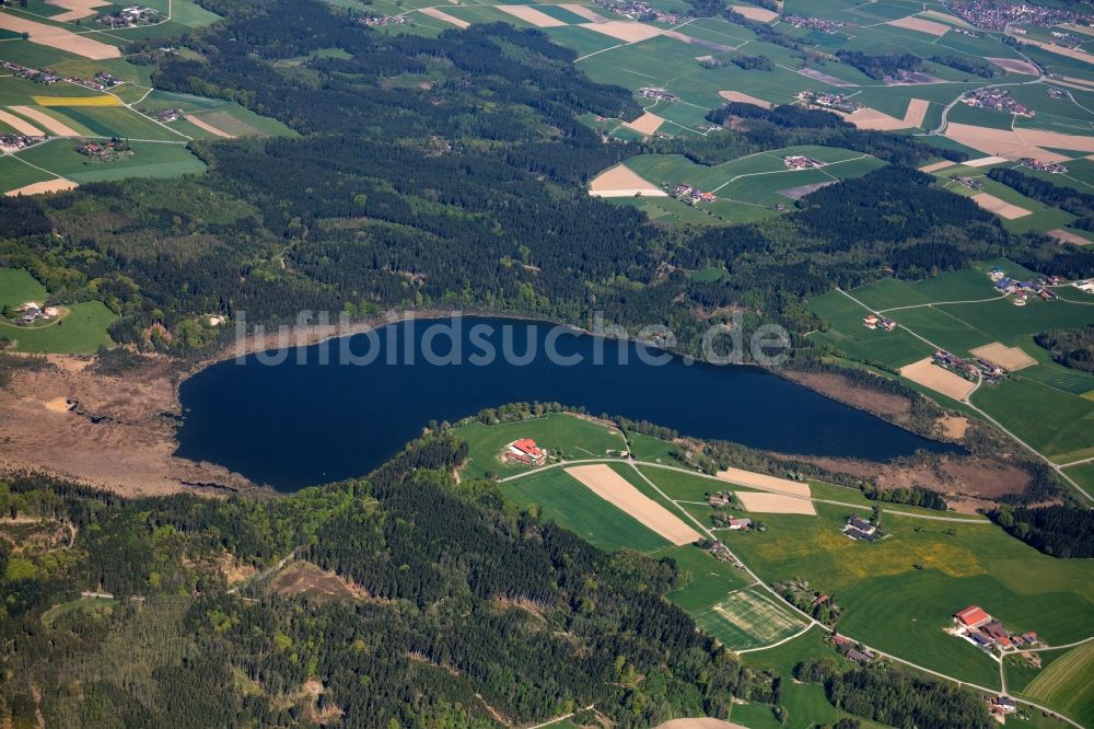 Luftbild Haberspoint - Uferbereiche des Sees Hofstätter See in einem Waldgebiet im Ortsteil Kalkgrub in Haberspoint im Bundesland Bayern, Deutschland