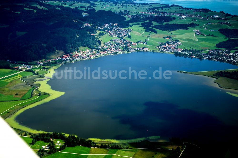 Füssen von oben - Uferbereiche des Sees Hopfensee im Ortsteil Hopfen am See in Füssen im Bundesland Bayern