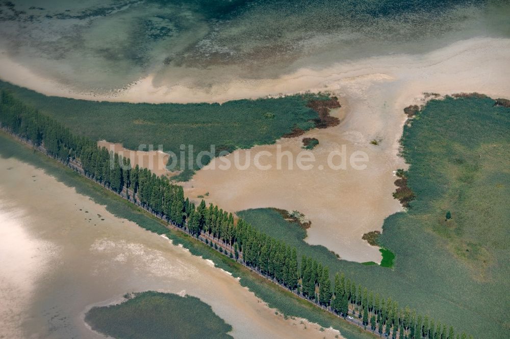 Luftaufnahme Reichenau - Uferbereiche des Sees Insel Reichenau in Reichenau im Bundesland Baden-Württemberg, Deutschland