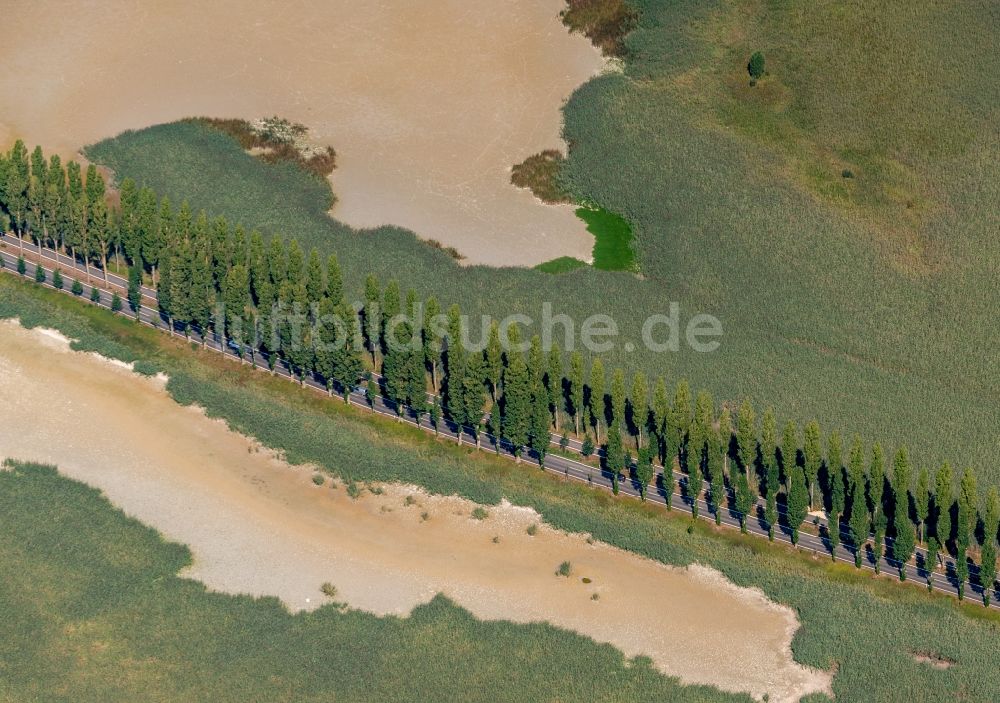 Luftaufnahme Reichenau - Uferbereiche des Sees Insel Reichenau in Reichenau im Bundesland Baden-Württemberg, Deutschland