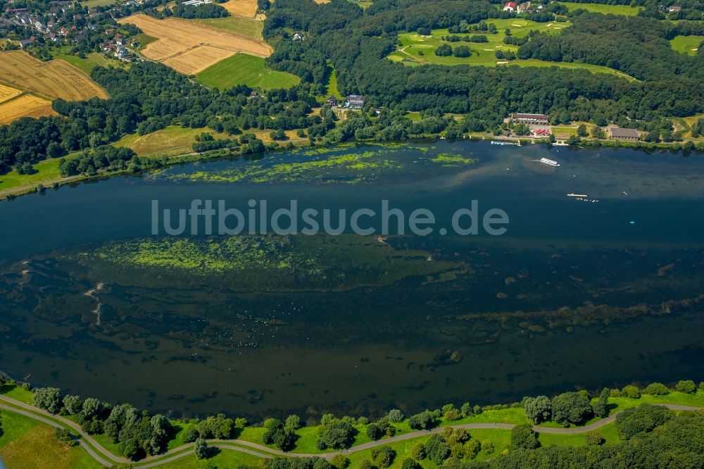 Witten aus der Vogelperspektive: Uferbereiche des Sees Kemnader See in Herbede im Bundesland Nordrhein-Westfalen