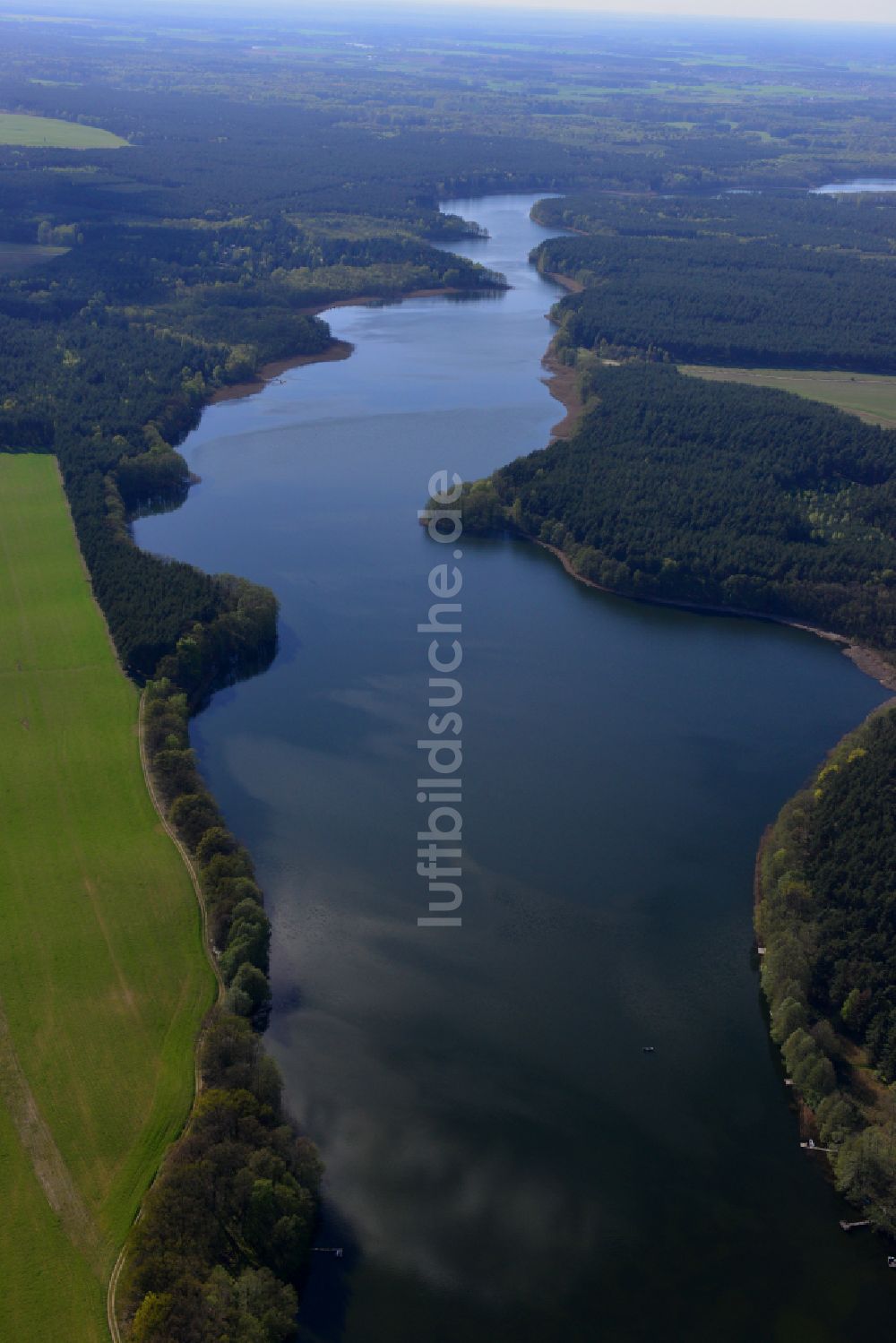 Templin aus der Vogelperspektive: Uferbereiche des Sees Lübbesee in einem Waldgebiet in Templin im Bundesland Brandenburg, Deutschland