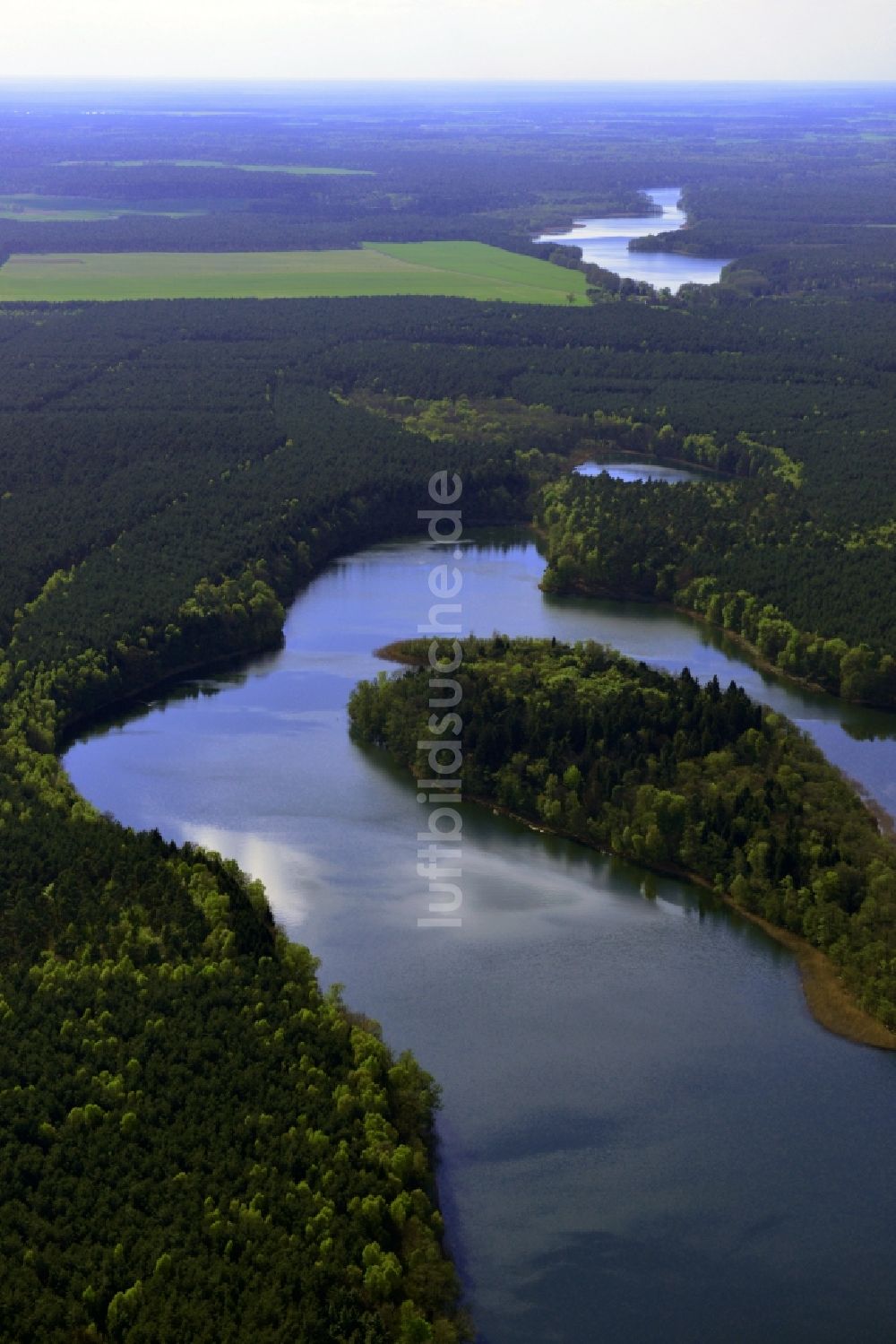 Temmen-Ringenwalde von oben - Uferbereiche des Sees Libbesickesee in Temmen-Ringenwalde im Bundesland Brandenburg