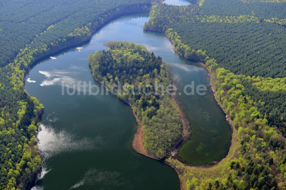 Luftaufnahme Temmen-Ringenwalde - Uferbereiche des Sees Libbesickesee in Temmen-Ringenwalde im Bundesland Brandenburg