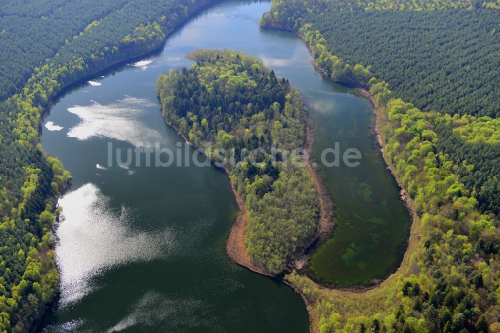 Temmen-Ringenwalde von oben - Uferbereiche des Sees Libbesickesee in Temmen-Ringenwalde im Bundesland Brandenburg