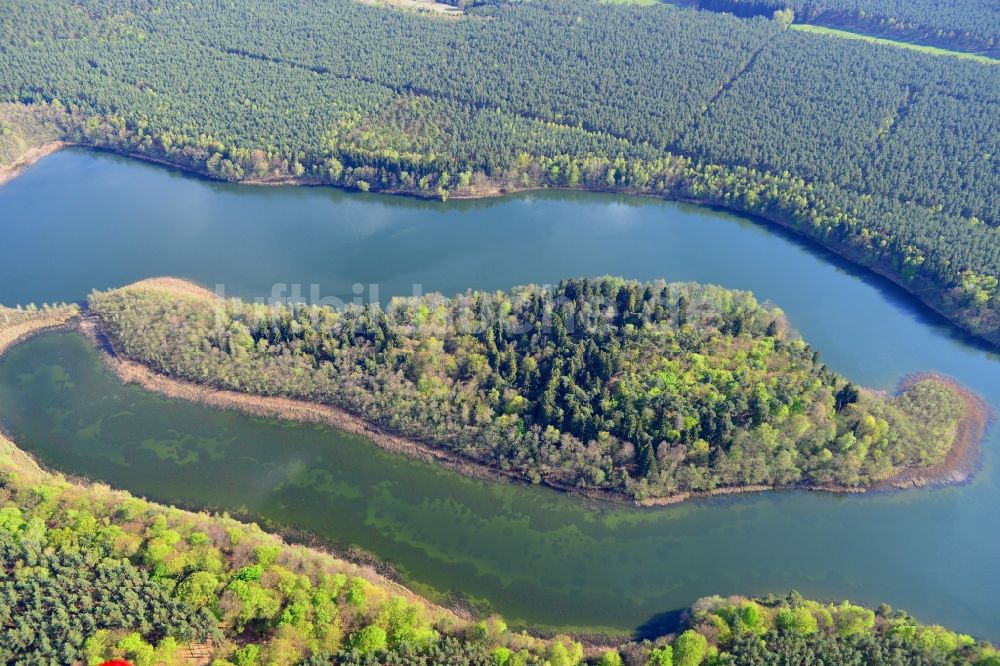 Luftaufnahme Temmen-Ringenwalde - Uferbereiche des Sees Libbesickesee in Temmen-Ringenwalde im Bundesland Brandenburg