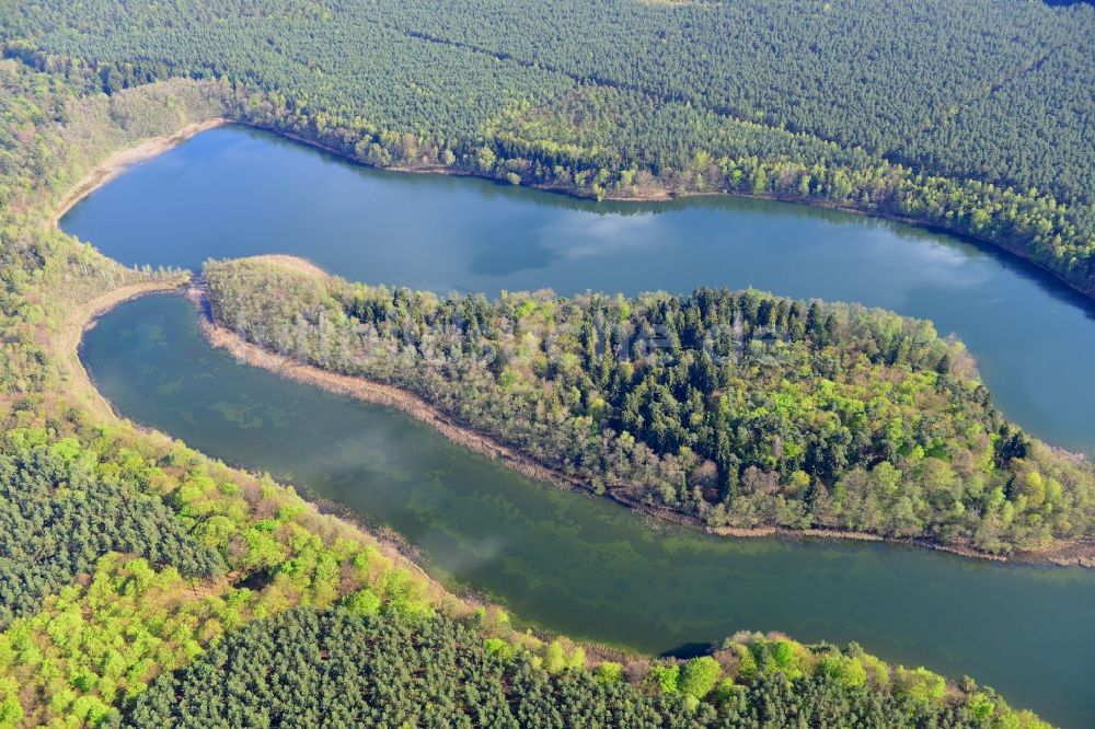 Temmen-Ringenwalde von oben - Uferbereiche des Sees Libbesickesee in Temmen-Ringenwalde im Bundesland Brandenburg