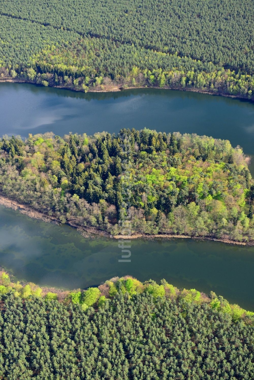 Temmen-Ringenwalde aus der Vogelperspektive: Uferbereiche des Sees Libbesickesee in Temmen-Ringenwalde im Bundesland Brandenburg