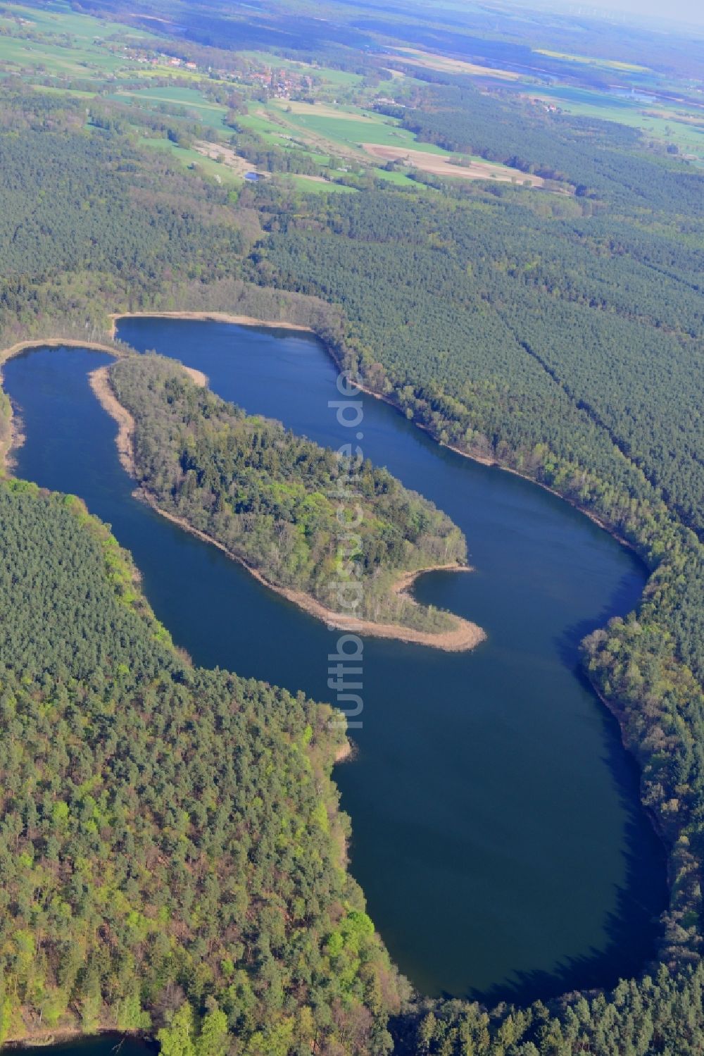 Temmen-Ringenwalde von oben - Uferbereiche des Sees Libbesickesee in Temmen-Ringenwalde im Bundesland Brandenburg