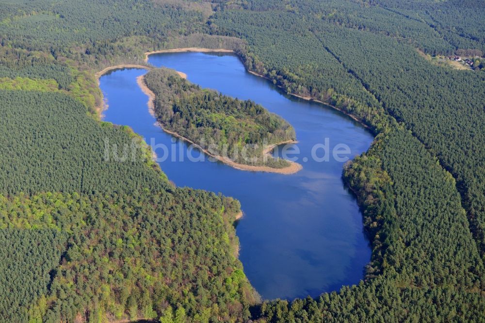 Luftbild Temmen-Ringenwalde - Uferbereiche des Sees Libbesickesee in Temmen-Ringenwalde im Bundesland Brandenburg