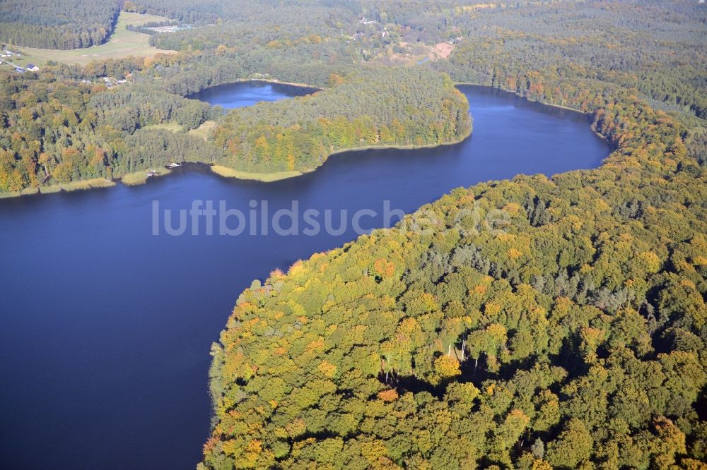 Wandlitz aus der Vogelperspektive: Uferbereiche des Sees Liepnitzsee mit der Insel Großer Werder in Wandlitz im Bundesland Brandenburg