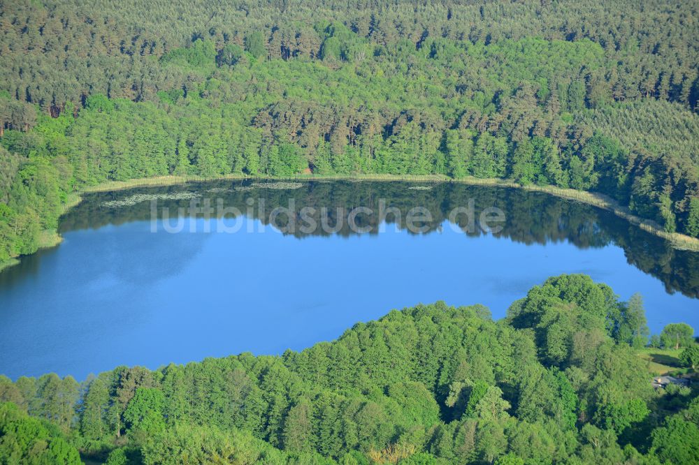 Linde von oben - Uferbereiche des Sees Lindesee in einem Waldgebiet in Linde im Bundesland Brandenburg, Deutschland