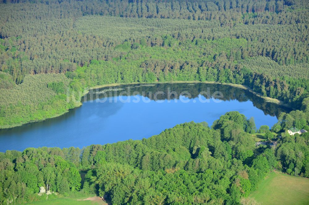 Linde aus der Vogelperspektive: Uferbereiche des Sees Lindesee in einem Waldgebiet in Linde im Bundesland Brandenburg, Deutschland