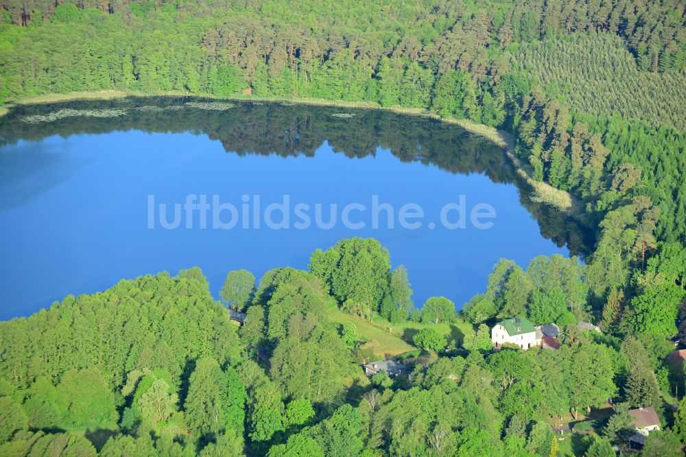 Luftaufnahme Linde - Uferbereiche des Sees Lindesee in einem Waldgebiet in Linde im Bundesland Brandenburg, Deutschland