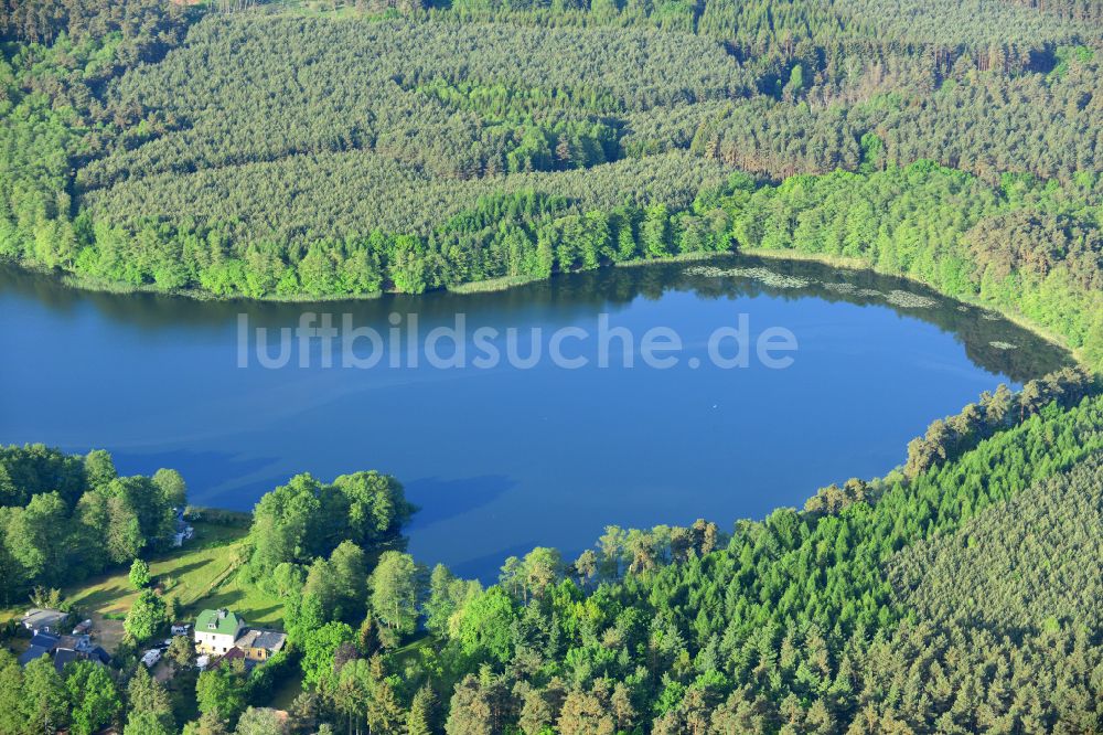 Linde aus der Vogelperspektive: Uferbereiche des Sees Lindesee in einem Waldgebiet in Linde im Bundesland Brandenburg, Deutschland