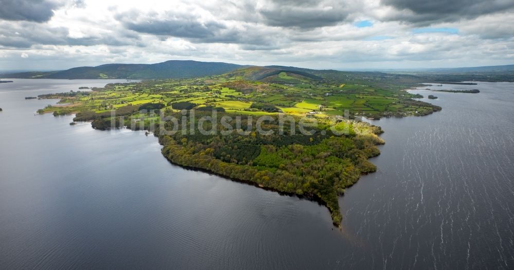 Luftbild Ogonnelloe - Uferbereiche des Sees Lough Derg in Ogonnelloe in Clare, Irland