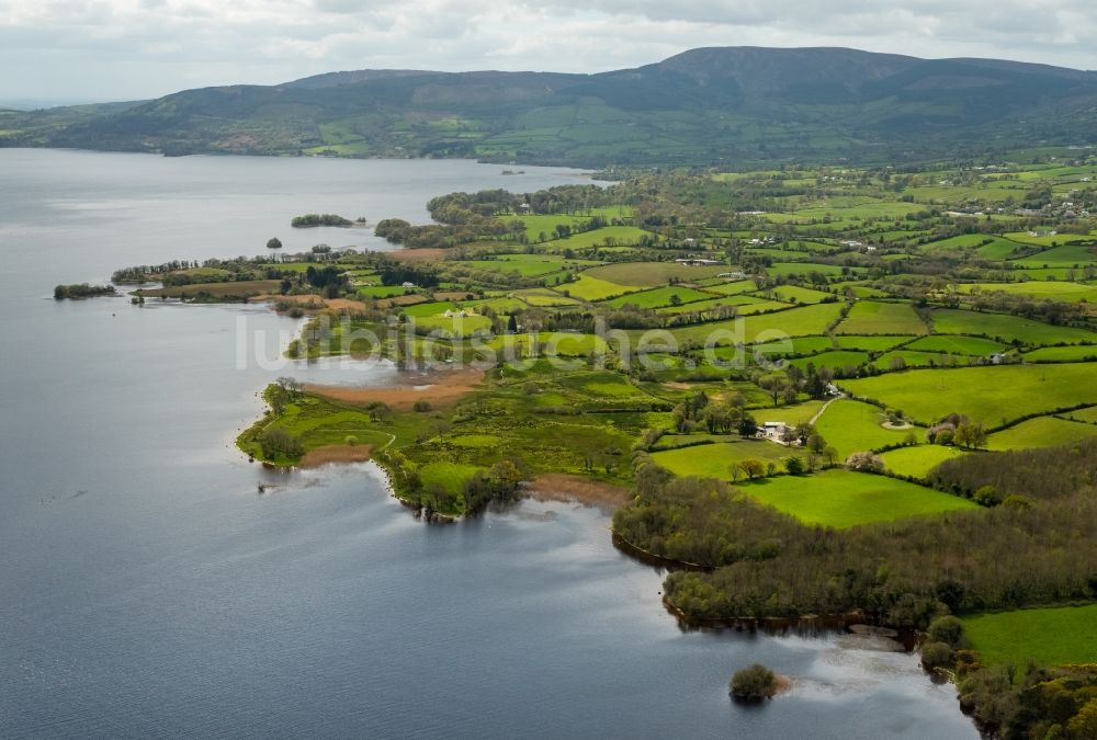 Luftbild Ogonnelloe - Uferbereiche des Sees Lough Derg in Ogonnelloe in Clare, Irland