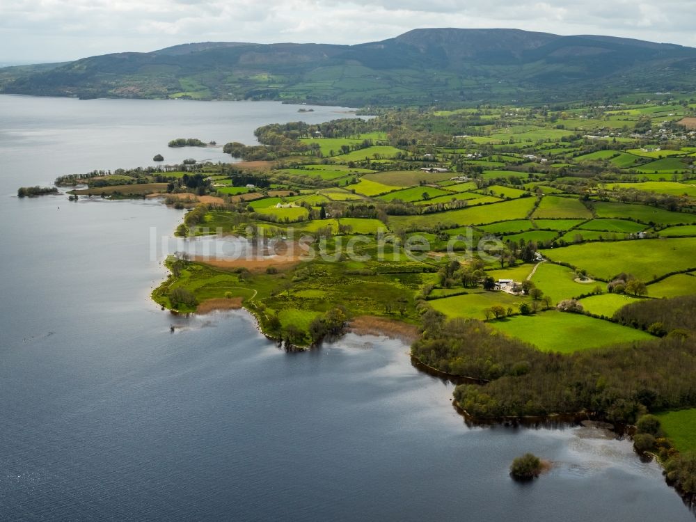 Luftaufnahme Ogonnelloe - Uferbereiche des Sees Lough Derg in Ogonnelloe in Clare, Irland