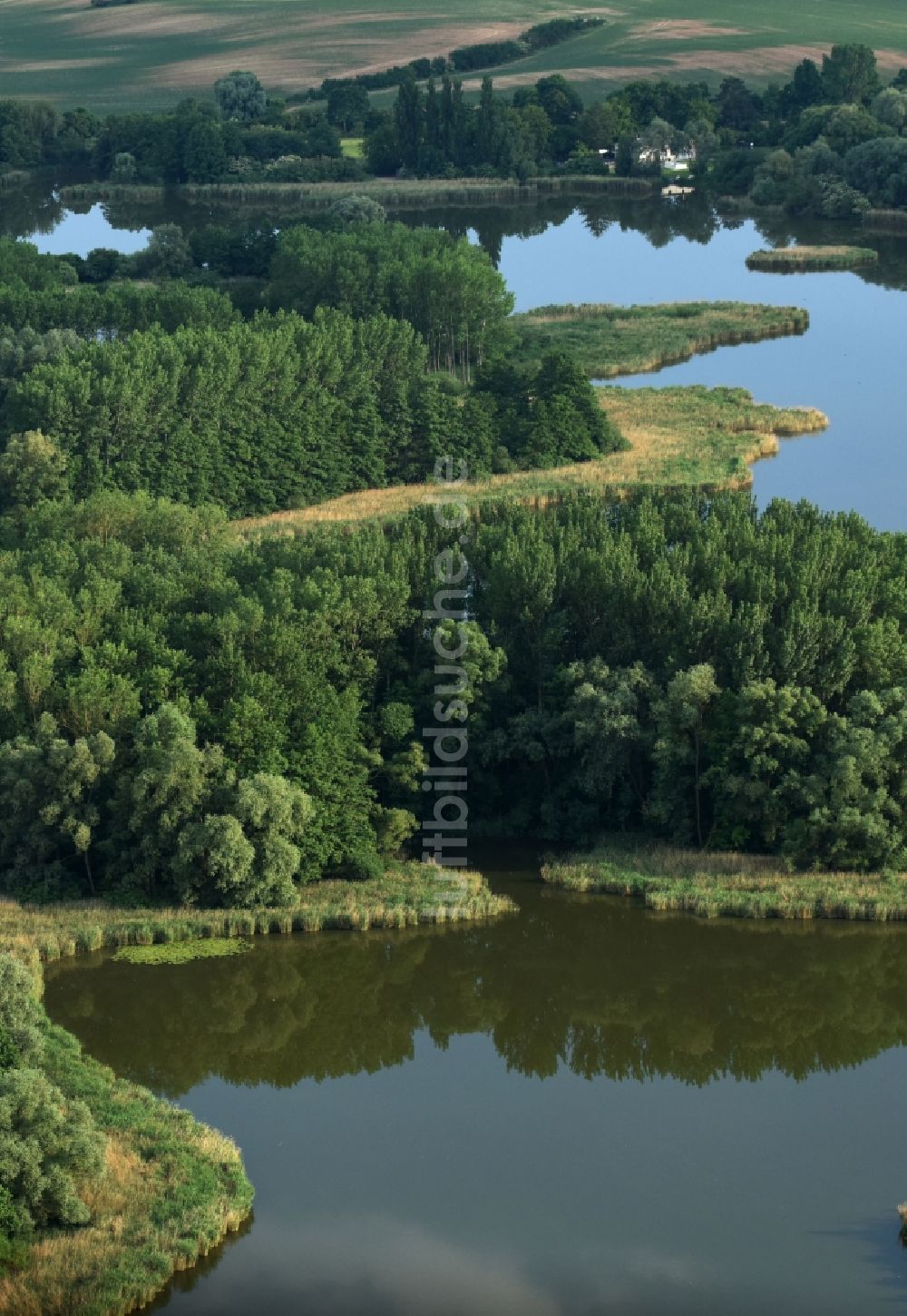 Oberkrämer aus der Vogelperspektive: Uferbereiche des Sees Mühlensee in Oberkrämer im Bundesland Brandenburg