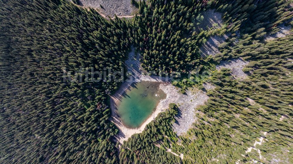 Luftaufnahme Lake Louise - Uferbereiche des Sees Mirror Lake in einem Waldgebiet in Lake Louise in Alberta, Kanada