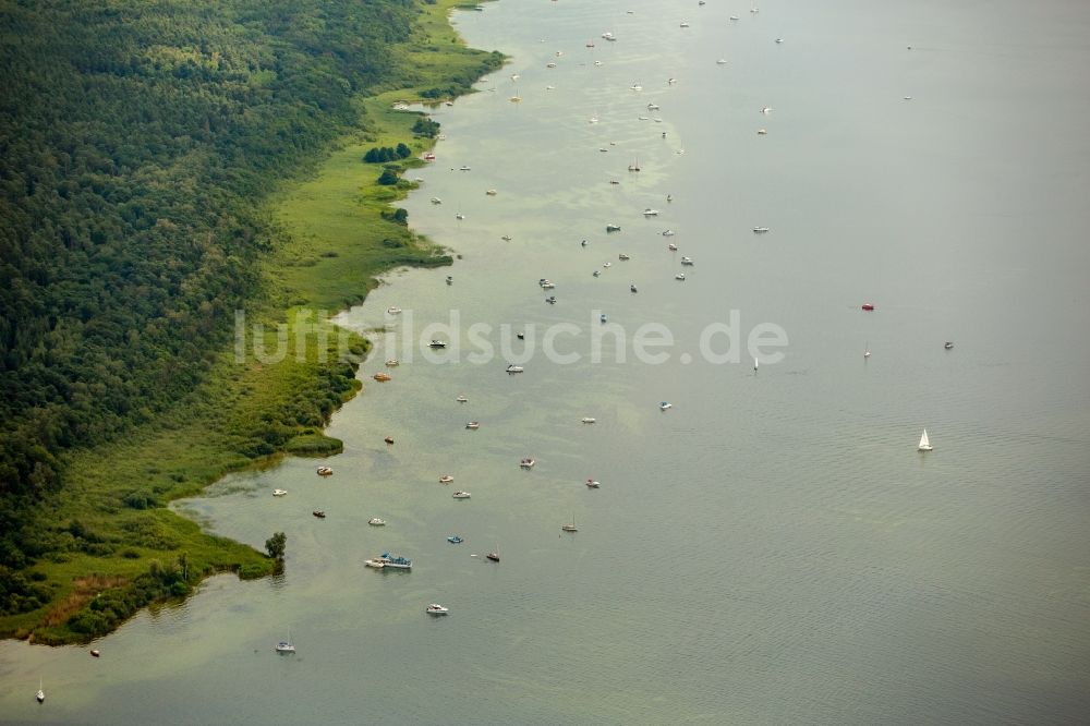 Klink aus der Vogelperspektive: Uferbereiche des Sees Müritz mit in Klink im Bundesland Mecklenburg-Vorpommern